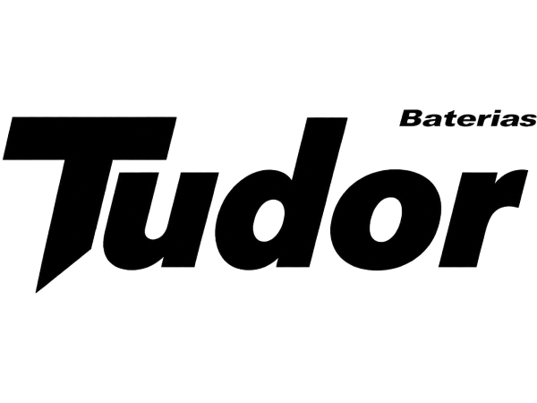 Logo Tudor